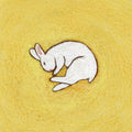 Death of a Rabbit Digipak CD