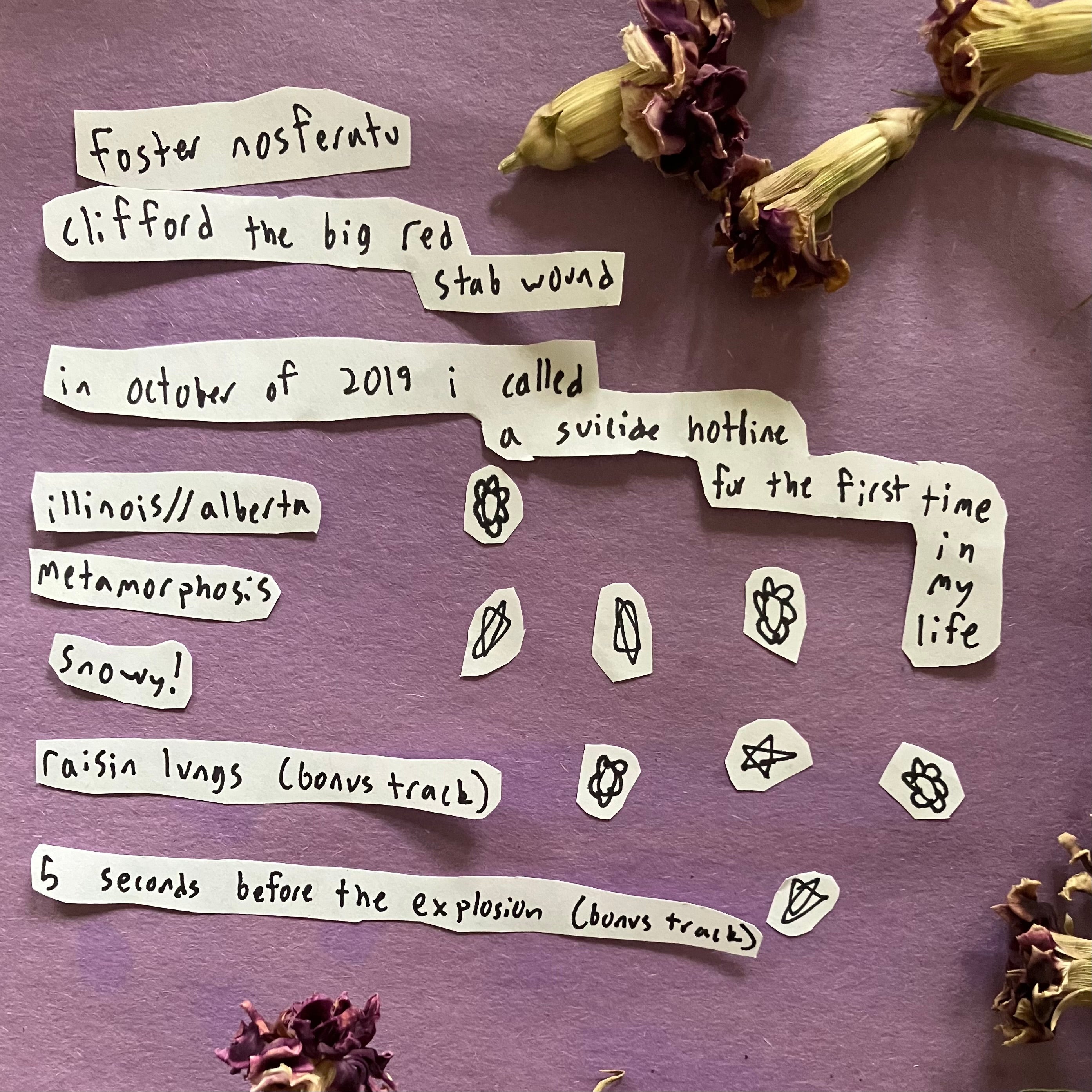 Your Arms Are My Cocoon S/T CD